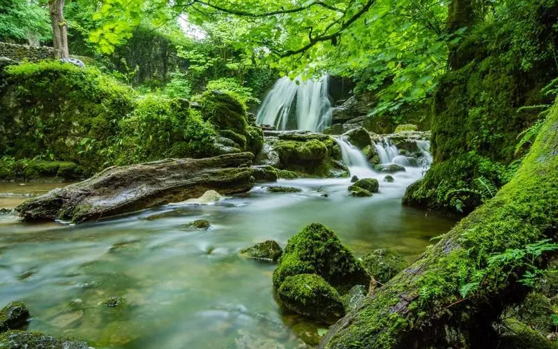 高质量创新